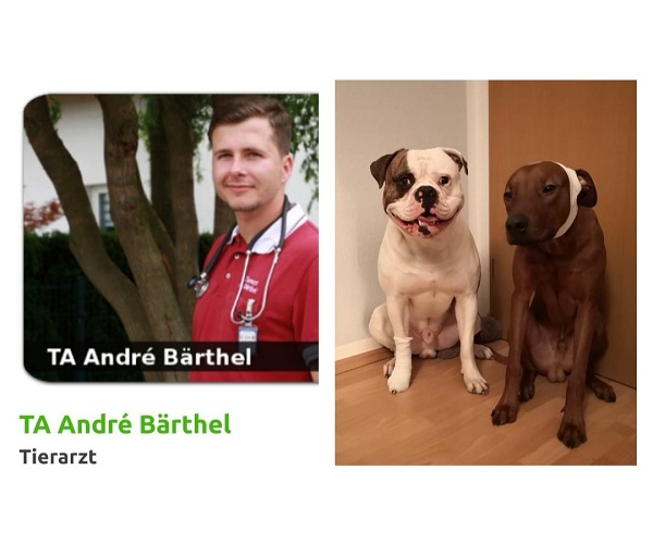 Read more about the article 15.02.2019 – 19 Uhr – Erste Hilfe Hund Seminar mit Tierarzt André Bärthel