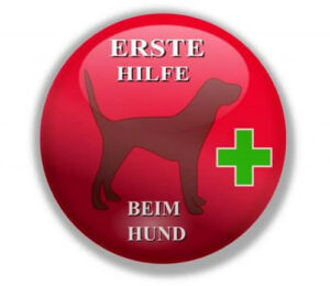 Read more about the article 28.08.2021, ab 10:00 Uhr Einladung zum Seminar / Veranstaltung Erste-Hilfe-Hund